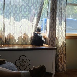 Meet your Posher, Amber